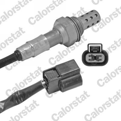 Oxygen Sensor
